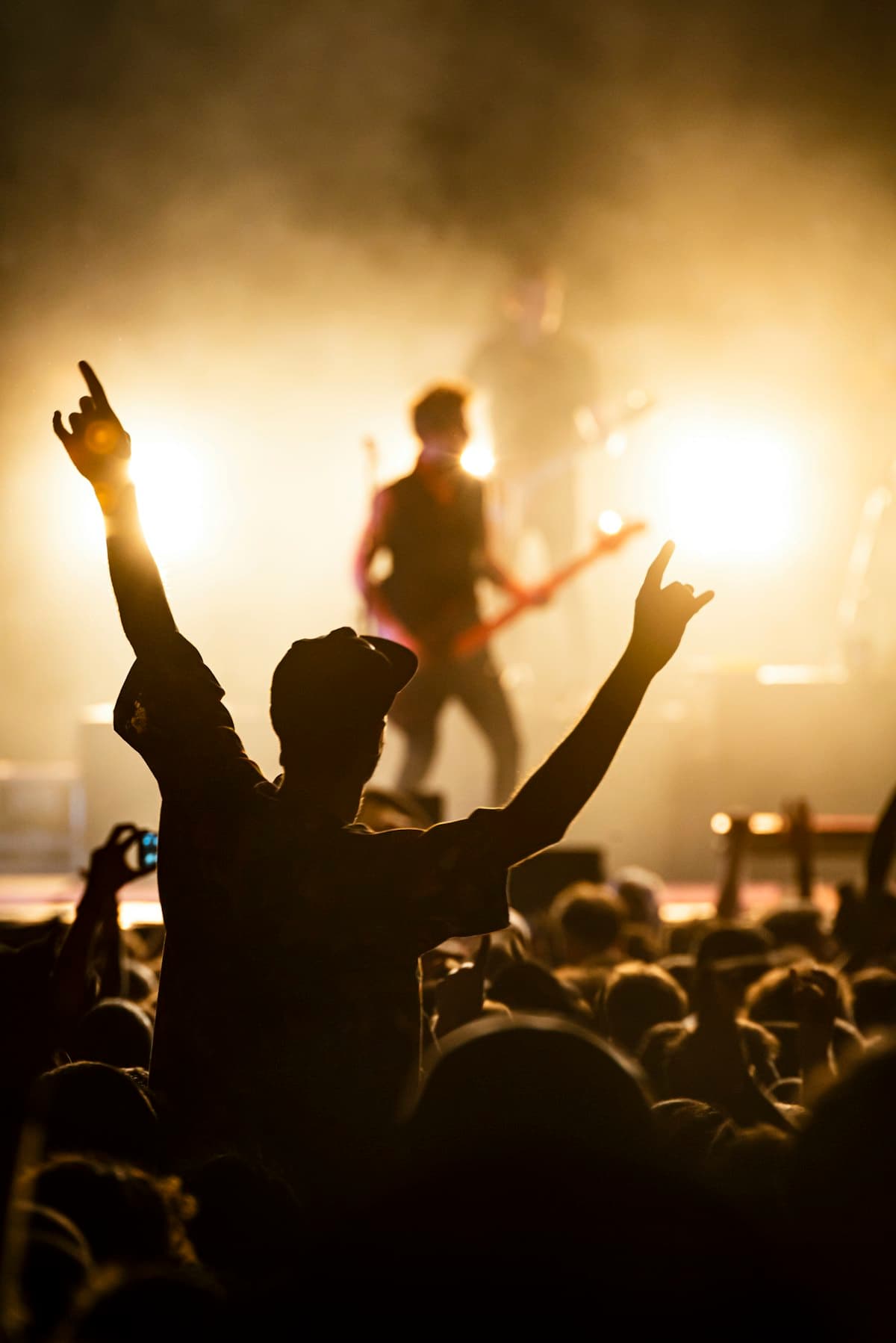 Crowd cheering at a live concert