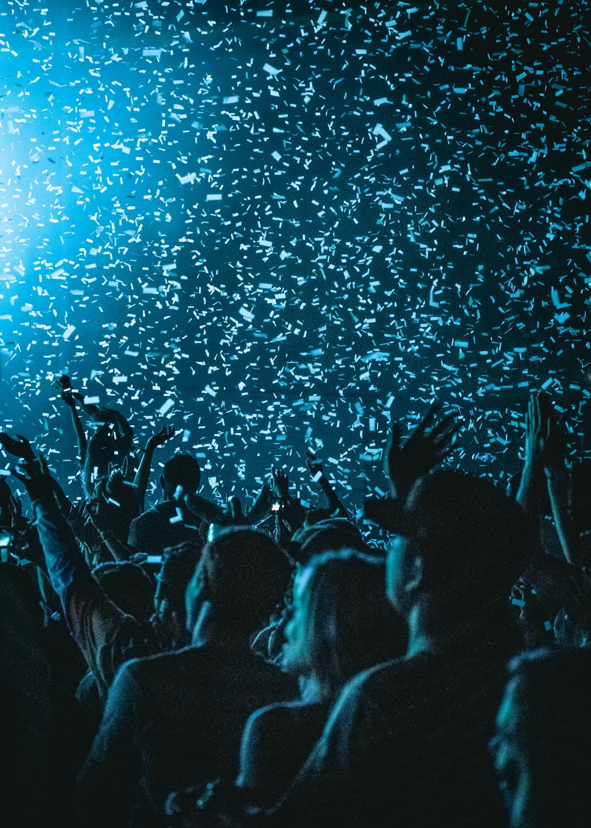 Festival crowd at a live show